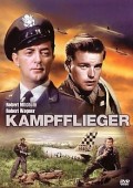Cover zu Kampfflieger (The Hunters)