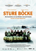 Cover zu Sture Böcke (Hrútar)