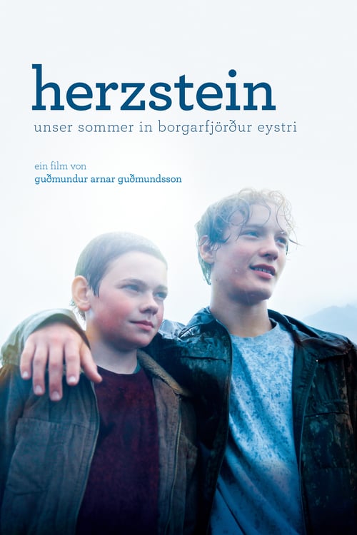 Cover zu Herzstein (Heartstone)