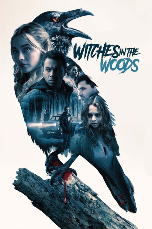 Cover zu Witches in the Woods (Witches in the Woods)